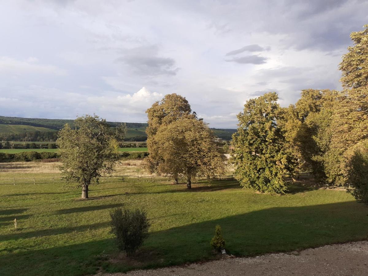 Domaine-De-La-Borde A Epernay Bed & Breakfast Mardeuil Exterior foto